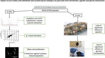 Impact of novel amino acid substituted and acylated spexin analogues on pancreatic beta-cell function, appetite and glucose homeostasis