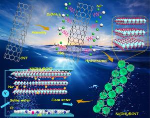 Synergistic effects in high-performance Ni(OH)2@CNT heterojunction for improved salt removal in capacitive deionization
