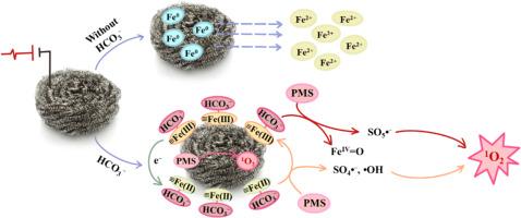 Bicarbonate ions enhanced surface Fe(II) regeneration and peroxymonosulfate activation on stainless-steel scrubber cathode for BPA degradation