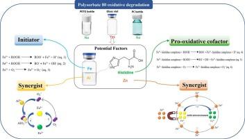 Mechanistic insights into PS80 oxidative degradation in glass vials: Roles of critical factors (iron, histidine, aluminum, zinc) and their synergistic interactions