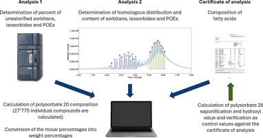 Unravelling the polysorbate 20 composition: A fusion of UPLC-MS analysis and stochastic modelling