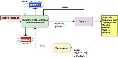 Thermochemical valorization of industrial hemp residues: Advances in hydrothermal conversion for biofuels and chemicals