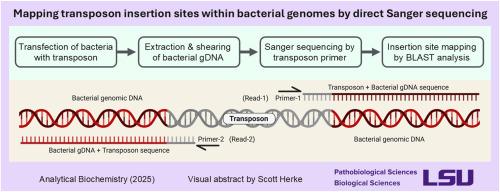 Mapping transposon insertion sites within bacterial genomes by direct Sanger sequencing