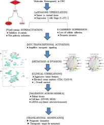 Single-cell transcriptomics exposes an uncharacterized lncRNA governing colorectal cancer metastasis