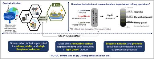 Biomass-derived carbon co-processed in a laboratory-scale coking unit: Detailed chemical evaluation of liquid products and their distillation cuts