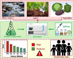 Integrated assessment of heavy metal contamination and health risks in irrigation water, soil, and vegetables along the Dankran River, Bekwai Municipality, Ghana