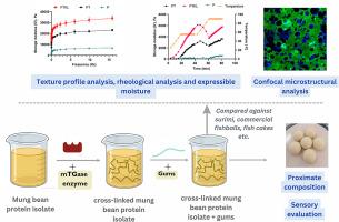 Roles of k-carrageenan, locust bean gum, and transglutaminase on textural and rheological characteristics of plant-based fishball analogues