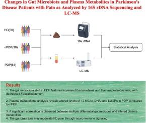 Changes in gut microbiota and plasma metabolites in Parkinson’s disease patients with pain as analyzed by 16S rDNA sequencing and LC-MS