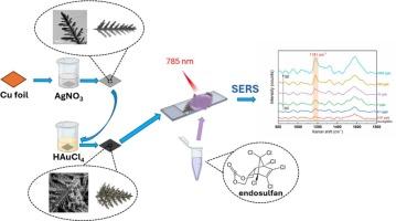 Rapid and effective synthesis of fern-shaped silver nanodendrites decorated with gold nanoparticles to improve SERS detection of endosulfan