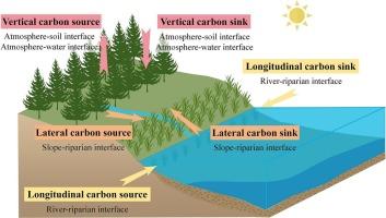 A three-dimensional coupling evaluation model for carbon source-sink in riparian zones