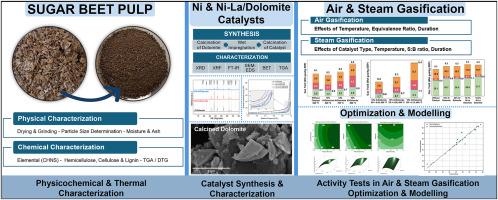 Valorization of sugar beet pulp via gasification for hydrogen-rich syngas production: Experimental study, optimization, and modeling