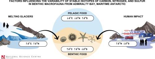 Factors influencing the variability of stable isotopes of carbon, nitrogen, and sulfur in benthic macrofauna from Admiralty Bay, maritime Antarctic