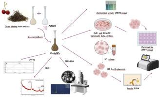Three-dimensional (3D) pancreatic β-cell models reveal insulin-secretion enhancing potential of green synthesized silver nanoparticles