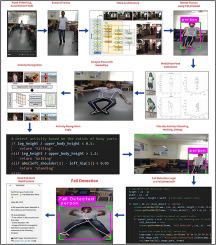Towards safer environments: A YOLO and MediaPipe-based human fall detection system with alert automation