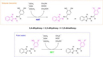 Radical scavenging mechanism of 1H-benzimidazole-2-yl hydrazones and kinetics with physiologically relevant radicals: A computational study