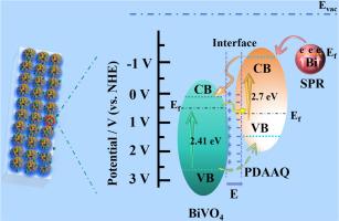 Organic semiconductor poly-2,6-diaminoanthraquinone composite and Bi loading synergistically enhance the photoelectrochemical cathodic protection performance of BiVO4