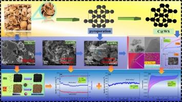 Synthesis and electrochemical performance of carbon-coated three-dimensional porous carbon nanoflowers derived from walnut shells for lithium-ion battery applications
