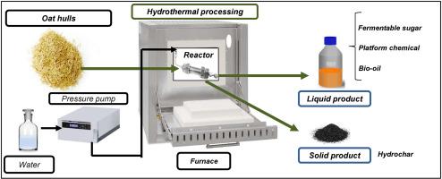Semi-continuous hydrothermal process for conversion oat husks to fuel and precursors