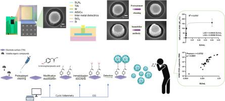 A novel impedimetric biosensor based on titanium nitride nano-electrode arrays for influenza A H1N1 testing