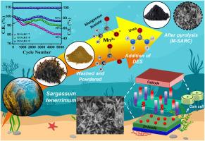Brown seaweed-derived high-performance electrode prepared using DES as green solvent to serve as effective cathode in aqueous Zn-ion battery