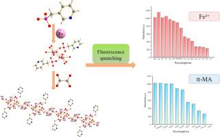 An oxalate-bridged pyridylphosphonate-Eu coordination polymer as a dual-probe for highly sensitive detection of Fe3+ and trans, trans-muconic acid