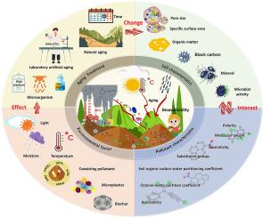 HOCs bioavailability response to soil aging: Focusing on the indirect effects of aging conditions, environmental factors, and carrier-mediated changes in soil properties - A review