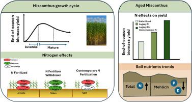Soil fertility management for sustainable Miscanthus × giganteus production: Increased tiller weight from nitrogen management explains yield gains in aged miscanthus