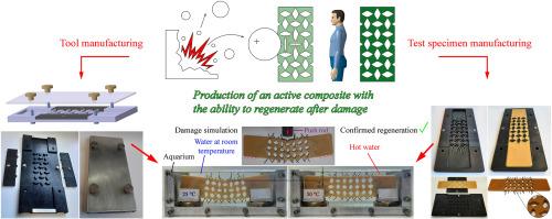 Development and fabrication of an auxetic composite with the shape memory effect for the regeneration of damaged parts