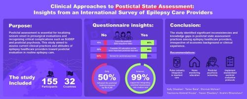 Clinical approaches to postictal state assessment: Insights from an international survey of epilepsy care providers