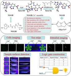 A novel fluorescence “on-off-on” peptidyl probe for highly selective and consecutive detection of Cu2+ and glyphosate and its multi-functional applications