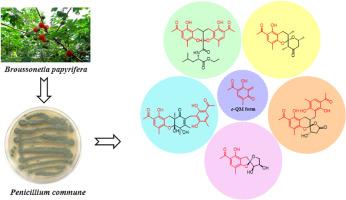 Clavatol derivatives from the endophytic fungus Penicillium commune XL-0473