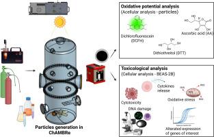 Oxidative potential and cellular toxicity of carbonaceous aerosols undergoing aging in an atmospheric simulation chamber