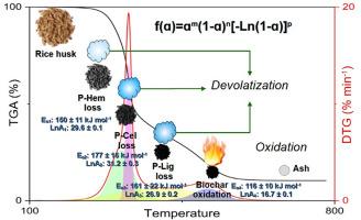 Decoding multi-step biomass combustion kinetics: Fraser-Suzuki deconvolution and statistical modeling of the kinetic triplet in rice husk