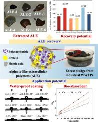 Alginate-like extracellular polymers recovery from industrial activated sludge: characteristics and application potential