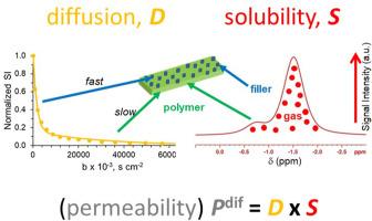 Unveiling the distribution and molecular interactions of gases in membranes of PPO and PC with porous biphenyl-based knitting aryl polymer (K2Ph) and their influence on gas transport with NMR