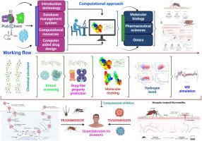 Evaluation of Potential Inhibitors of Zika Virus Envelope Protein Through Molecular Docking and Molecular Dynamics Simulation