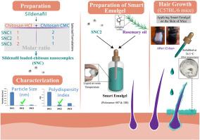 Sildenafil-chitosan nanocomplexes in rosemary-infused smart emulgel: Sustainable drug delivery with improved hair regeneration efficacy