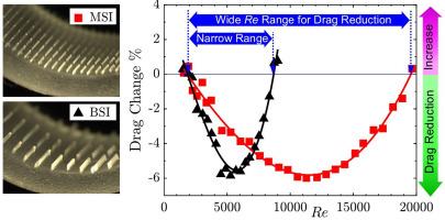 Shark-inspired riblet design and optimization for drag reduction in drinking water distribution pipes across varying flow rates