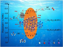 N-doped carbon quantum dot-induced cyano-enrichment enhances K-doped C3N4 for efficient photocatalytic H2O2 production
