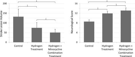 Optimized dose of hydrogen-enriched water with minocycline combination therapy in experimental ischemic stroke