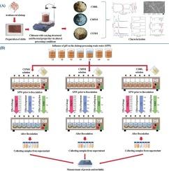 Influence of structural and thermal characteristics of chitosan on the recovery of protein-rich biomass from shrimp processing wash water under various operating conditions