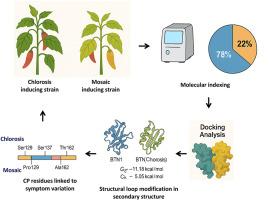 Comparative coat protein annotation of two biologically distinct strains of cucumber mosaic virus in chili