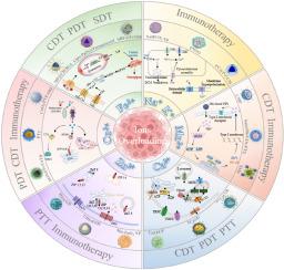 Recent advances in metal ions overloading for tumors: Mechanisms, nanomaterials, and therapies
