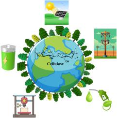 Emerging cellulose applications in the era of ecological transition