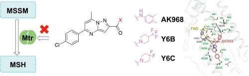 Identification of a potential anti-nontuberculous mycobacterial drug candidate targeting a mycothiol disulfide reductase