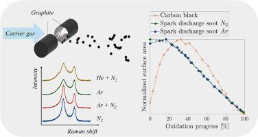 Structural evolution during combustion of carbon nanoparticles generated by spark discharge