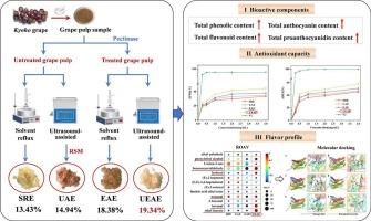 Effect of ultrasound-assisted extraction combined with enzymatic pretreatment on bioactive compounds, antioxidant capacity and flavor characteristics of grape pulp extracts