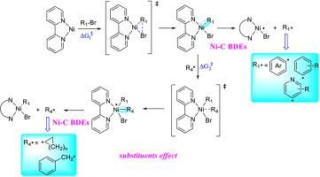 DFT study on Ni–C bond dissociation enthalpies of nickel-carbon complexes in photoredox/nickel dual catalysis C(sp2)-C(sp3) coupling reactions