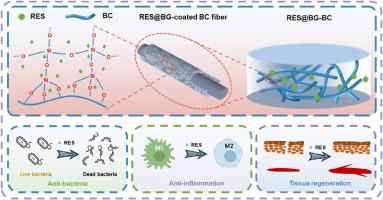 Fabrication of resveratrol-loaded bioactive glass-modified bacterial cellulose for wound treatment