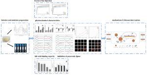 Impact of chitosan on lipid digestion under simulated gastro-intestinal conditions